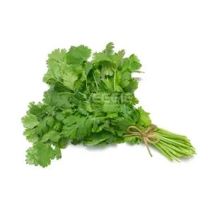 Coriander Spain 2,5kg/box