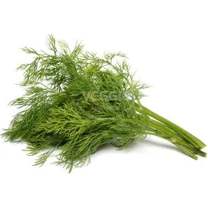 Thì Là Tây Ban Nha 1kg/khay