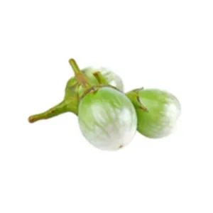 Green Vietnamese Eggplant 2.8kg - 3kg/box Spain Exclusive