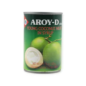 Young Coconut Meat in Syrup 12x425g