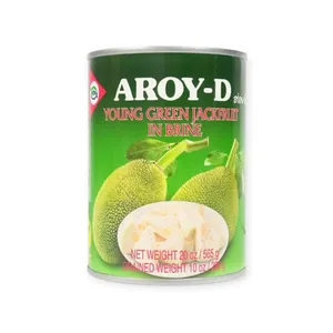 Young Green Jackfruit in Brine 24x565g