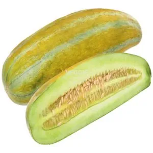 Cucumis Melon