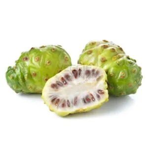 Noni Fruit 500g