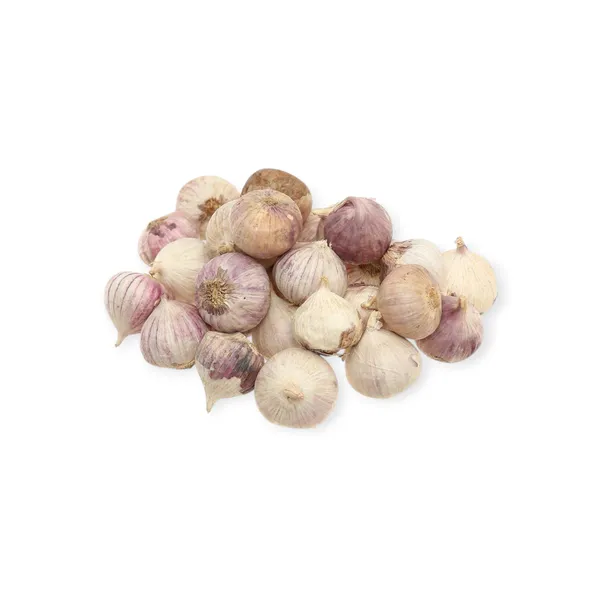 Garlic Solo 8x250g China