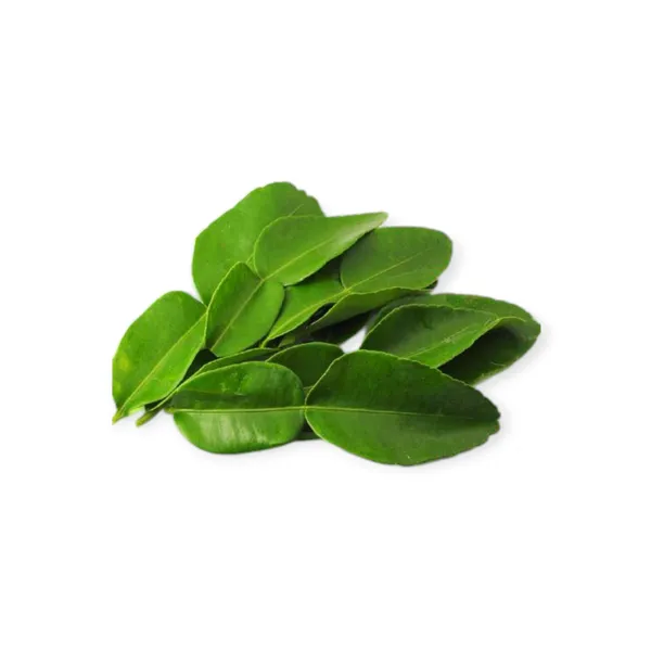 Kaffir Lime Leaves 2x25pc Holland
