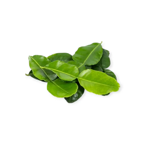 Kafir Lime Indonesia