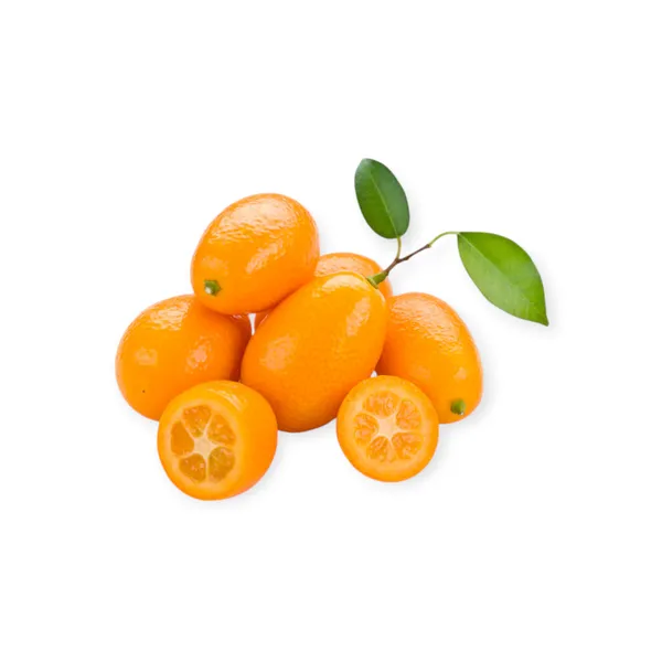 Kumquat Loose Indonesia