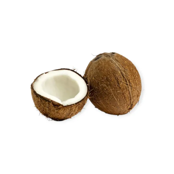 Mature Coconut 6pcs/box