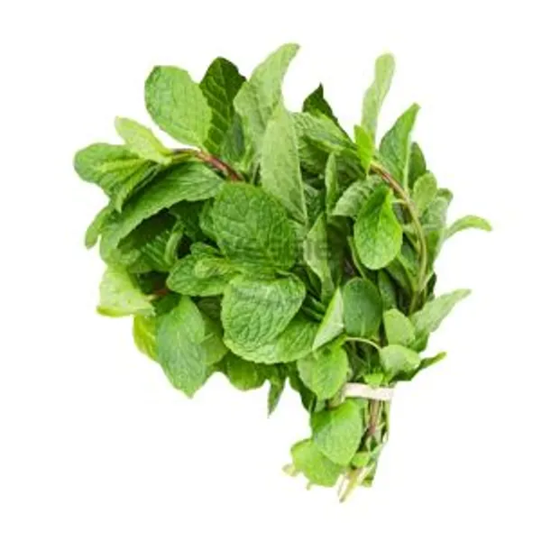 Húng Cay 4kg/thùng Spain