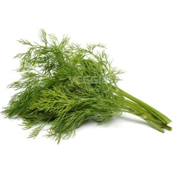 Thì Là Tây Ban Nha 1kg/khay