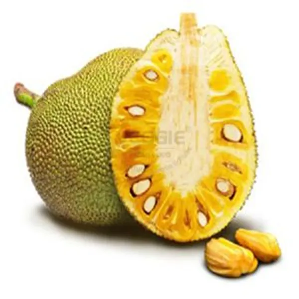 Jackfruit Malaysia