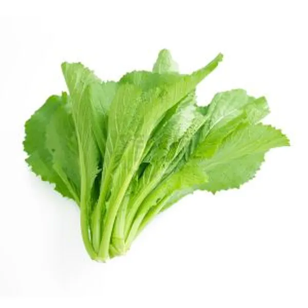 Cải Canh Tây Ban Nha 6kg/khay