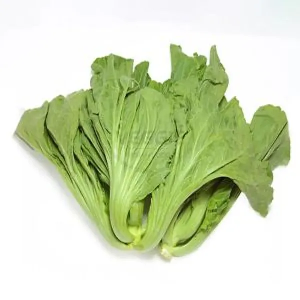 Kai Choy/mustard Cabbage Spain 6kg/box