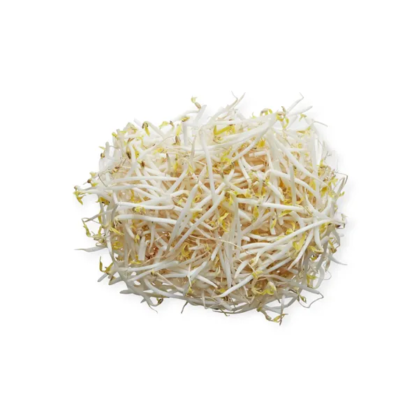 Giá Đỗ 5kg/túi Séc-tiệp