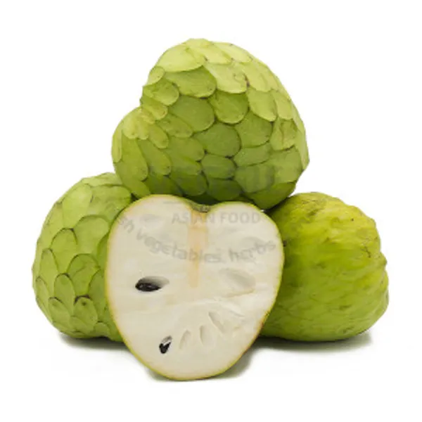 Na Trơn Tây Ban Nha Loại 8