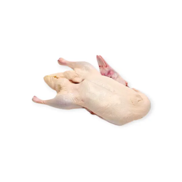 Fresh Whole Moscovy Duck with Head