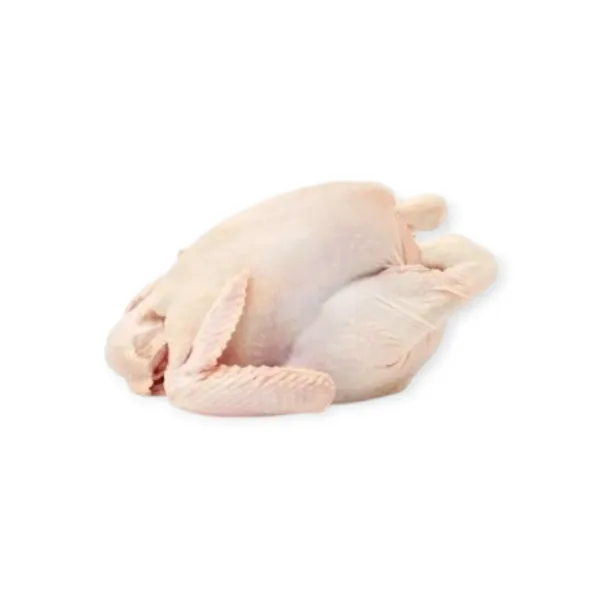 Fresh Whole Yellow Cock Without Head