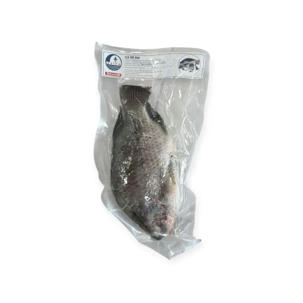 Red Tilapia (cá Rô Phi)