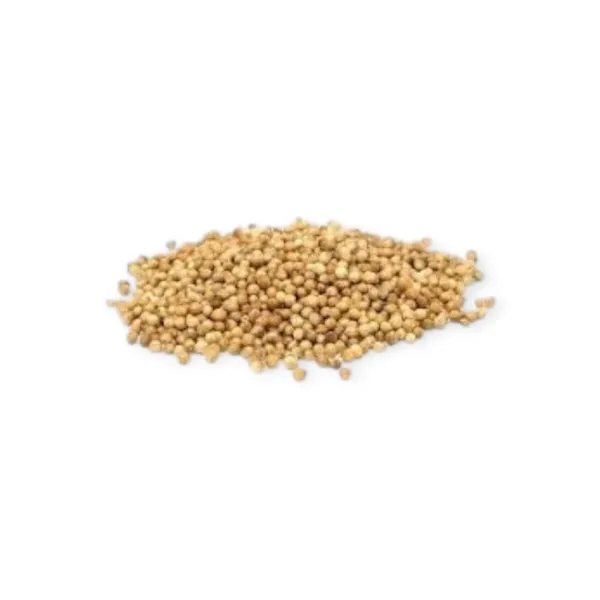 Hạt Giống Mùi Ta 100g