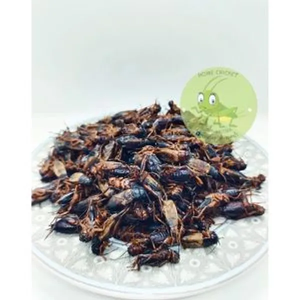 Mini Crickets 500g