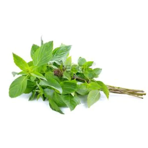 Bai Krapao Đỏ 100g