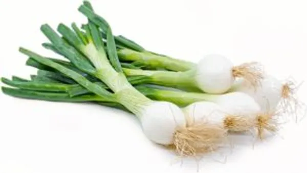Spring Onion Big Root 100g