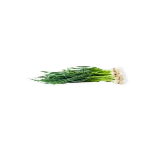 Spring Onion 500g