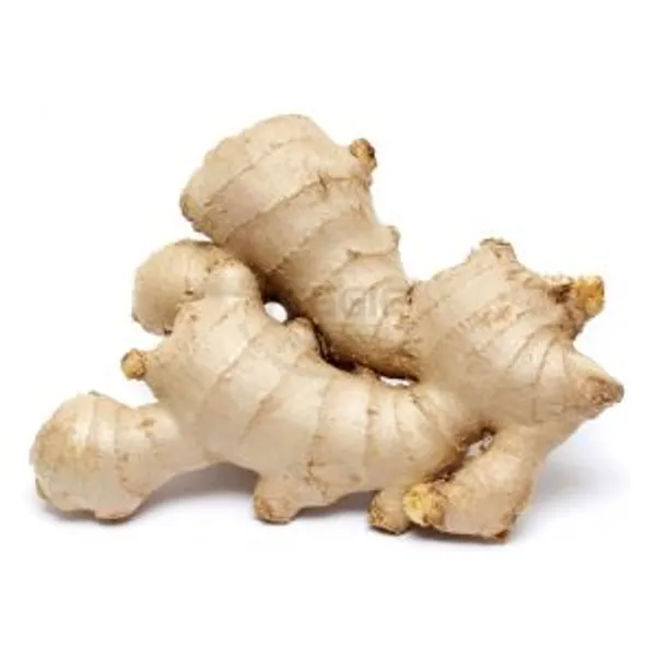 Củ Gừng Non 100g