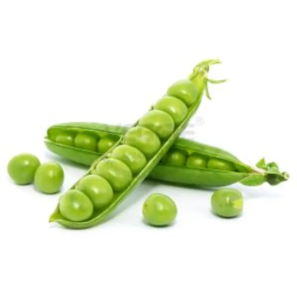 Sweet Pea in Tray