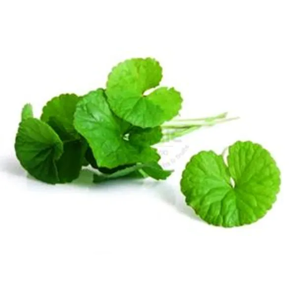 Centella Leaf 100g