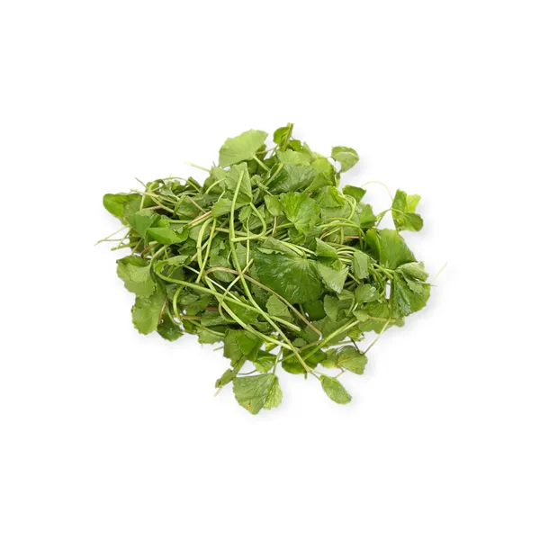 Centella Leaf 200g