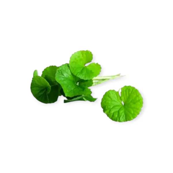 Centella Leaf 1000g
