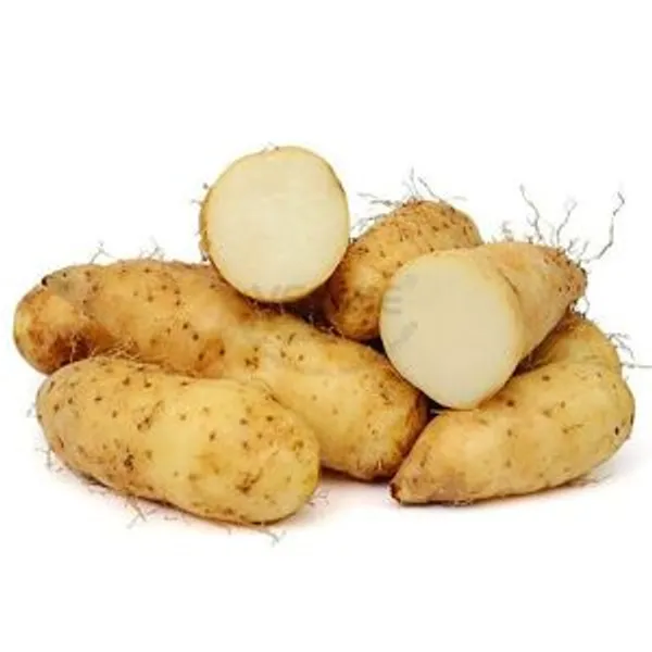 Yam Root 1000g