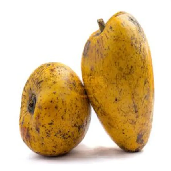 Bình Bát Vỉ 500g
