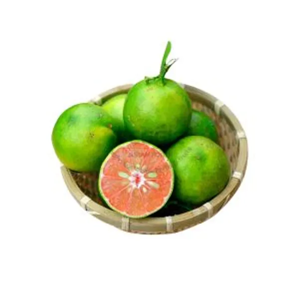 Chanh Đào Hà Nội 1000g
