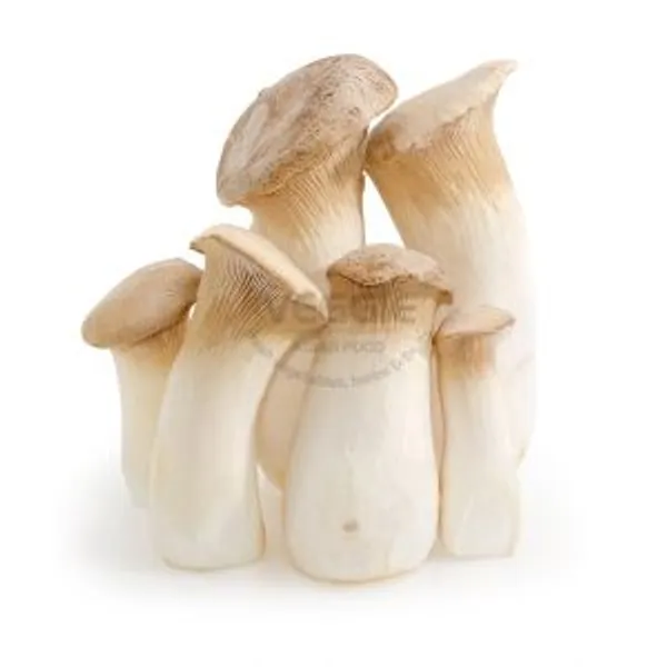 Mushroom Eryngii 4000g