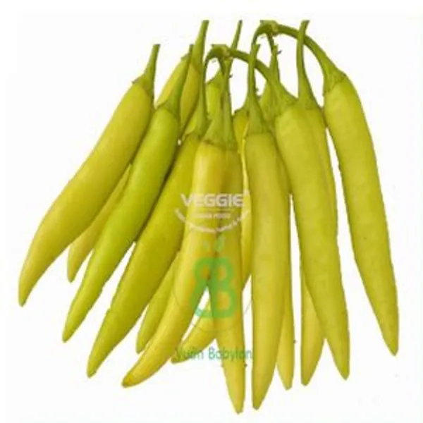 Chilli Yellow in Tray 100g