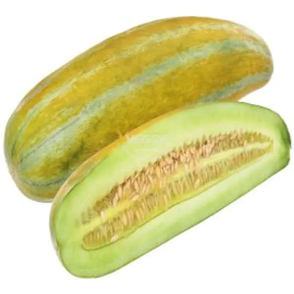 Cucumis Melon