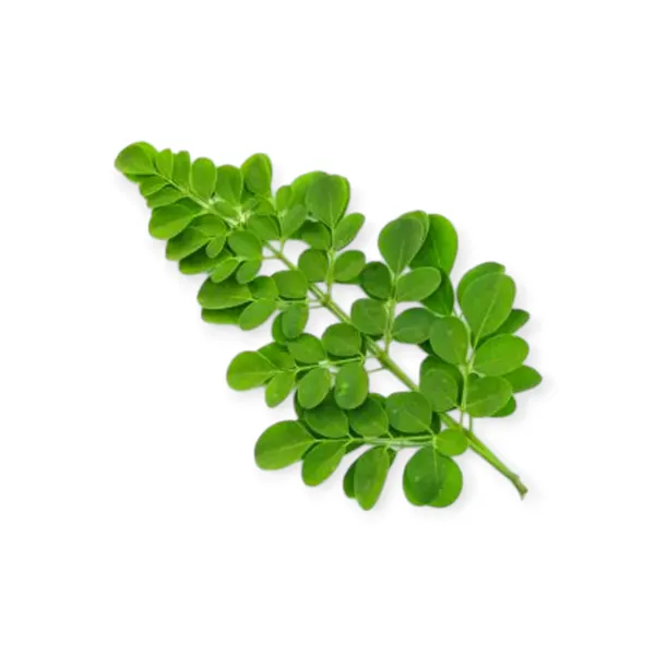 Drumstick Leaf 200g
