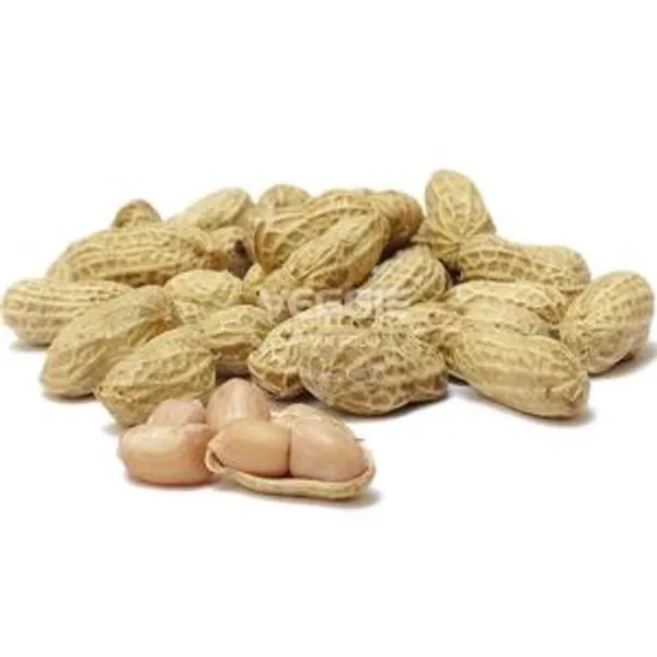 Peanut Bean in Bag 500g