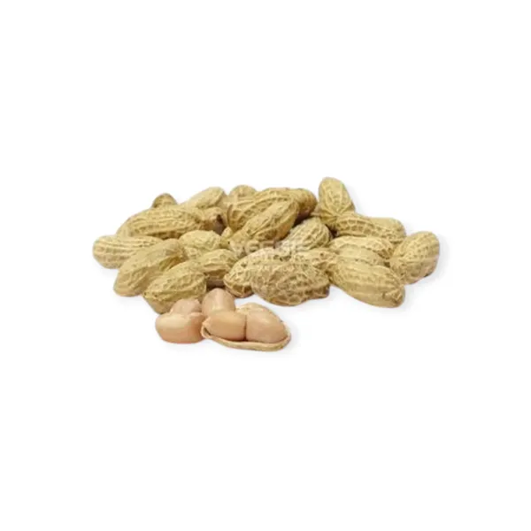 Lạc Củ Tươi Vỏ Đỏ Túi 500g