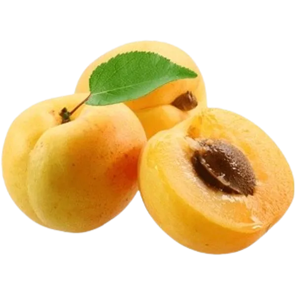 Apricot Forest 1000g