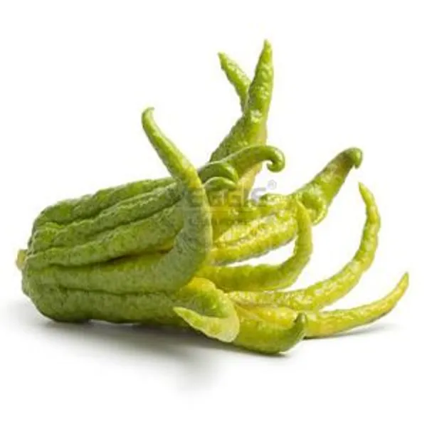 Buddha´s Hand Green