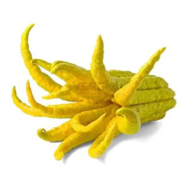 Buddha´s Hand Yellow
