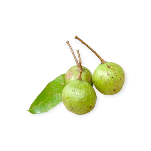 Dracontomelon Fruit 500g