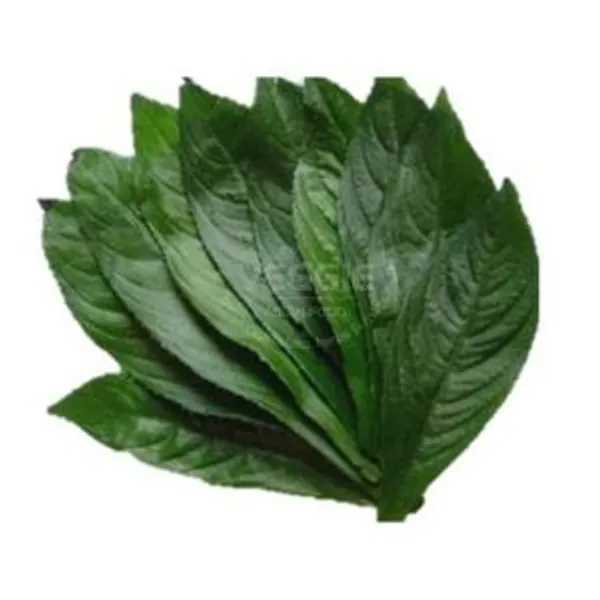 Blumea Leaf 100g