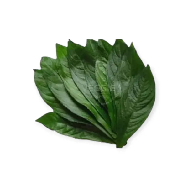 Blumea Leaf 200g