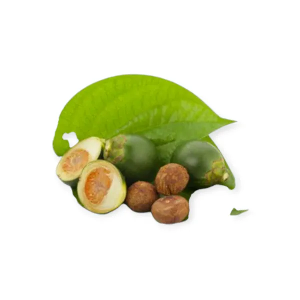 Bettel Nut and Betel Leaf 3+3 Set