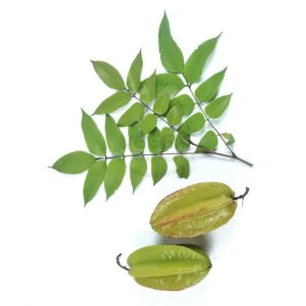 Carambola Leaves 100g