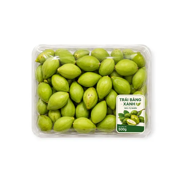 Terminalia Catappa Green in Tray 500g